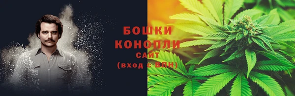спайс Магас