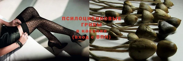 спайс Магас